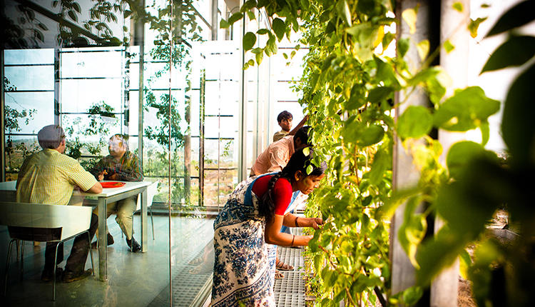 Living Facade at KMC Corporate Office Complex in Hyderabad (photo by Carlos Chen).