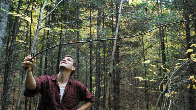 Episode 009 | Dale Prest: Sustainable Forest Management and the Fight for a Stable Climate